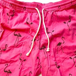 Pink Flamingo Board Shorts Swim Trunks New H&M